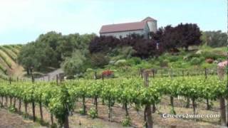 Fun Things to Do in Napa Valley [upl. by Nosmoht978]