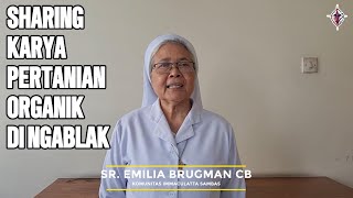 Bertani Organik di Ngablak bersama Sr Emilia Brugman CB [upl. by Assened]