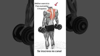 TREINO PARA O TRAPÉZIO  ENCOLHEMENTO COM HALTERES dicadetreino trapezio shorts [upl. by Nostaw]