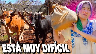 CAMPO MEXICANO ES MÁS DURO QUE EL COREANO SALÍ REGAÑADA🫠 l Chingu Amiga [upl. by Obidiah271]