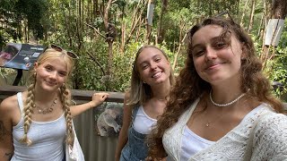 currumbin wildlife sanctuary vlog  ywam byron bay [upl. by Macswan]