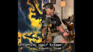 Offspring Self Esteem acoustic cover [upl. by Eliathan395]