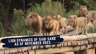 COALITION OF 7 COMPLETING THE TAKE OVER  NORTHERN AVOCA amp MORE  THE LIONS OF SABI SAND EPISODE 14 [upl. by Henrique]