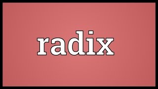 Radix Meaning [upl. by Idihsar998]