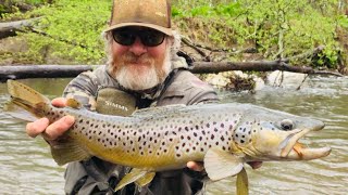 Spin Fishing for Big PA Brown Trout [upl. by Kutzer]