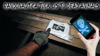 THE RANDONAUTICA CHALLENGE  IT TOOK US TO THE MISSING DEAD DOG [upl. by Rodavlas]