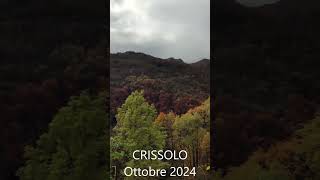 Ottobre 2024  Foliage  Crissolo Valle PO [upl. by Annaehs227]