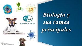 🆕🔝✳️ La Biología y sus ramas principales 🧫🦠🧬🌎☘️🐳🦀🐼 [upl. by Lajes]