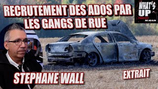 La MONTÉE des GANGS DE RUE  Stéphane Wall  Whats Up Podcast Extrait [upl. by Ynnavoj252]