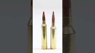 7mm PRC VS 7mm REM Mag What one you picking 7mm 284 shortvideo shorts hornady remington prc [upl. by Mayhs188]