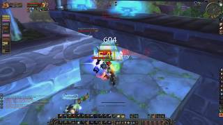 Nerzzull  WoW Classic PvP  Level 49 Twink Enhancement Shaman Windfury Crits №1 [upl. by Ash]