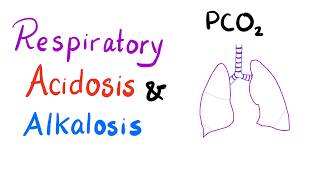 Respiratory Acidosis amp Alkalosis  AcidBase Imbalance [upl. by Garfinkel753]