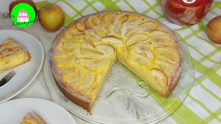 Apfelkuchen mit Quark Blitzkuchen [upl. by Modeste]