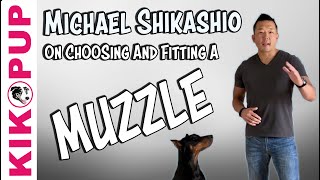 Learn About Fitting a Muzzle from Expert Michael Shikashio [upl. by Mychael817]