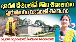 భారతదేశపు తొలి శివాలయం  Indias First Shivalayam  Famous Temples in India  Telugu Vlogs [upl. by Aciram]