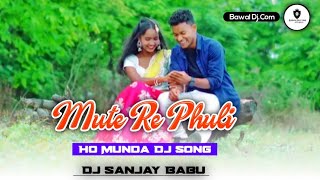 Mute Re Phuli New Ho Munda Dj Song 2024 Dj Sanjay Babu Buruikuti New Ho Munda Video Song 2024 Ho Dj [upl. by Neyu253]