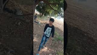 Appi ka kaliya song 🤘comedy funny song [upl. by Ieluuk443]