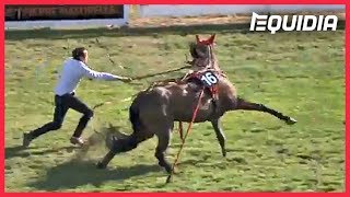 IL STOPPE UN CHEVAL EN PLEIN GALOP   Zap Equidia [upl. by Musette]