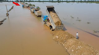 Nice Updating Using Bulldozer and Huge Dump Truck Working Building Road Long Crossing Flood [upl. by Ellenig]