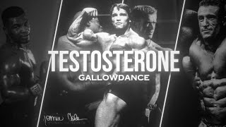 TESTOSTERONE GYM EDITION PART 1  Gallowdance [upl. by Abbe481]