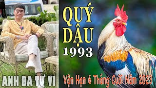 QUÝ DẬU 1993 amp Vận Hạn 6 tháng cuối 2023 [upl. by Snapp]