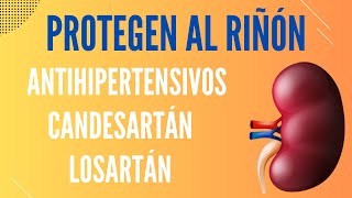 Losartán candesartán y otros antihipertensivos protegen el riñón [upl. by Blodget417]