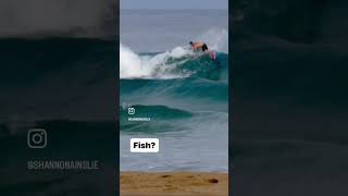 SHORTBOARD vs FISH  Same wave same day which wave was surfed best [upl. by Salzhauer]