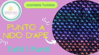 Punto a Nido dApe  TUTTI I PUNTI TUNISINI [upl. by Havstad]