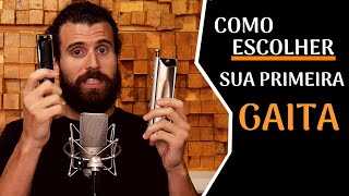 POR QUAL GAITA DEVO COMEÇAR Diatônica ou Cromática Qual a melhor gaita para iniciante [upl. by Amol]