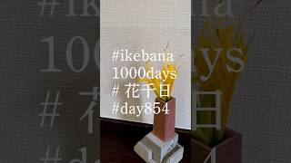 tips尖端 ikebana1000days 花千日 day854 shorts [upl. by Campney]