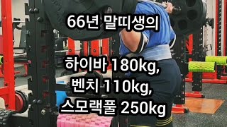 250kg × 10 sumo 3cm rack pull  110kg × 3  benchpress 180kg × 3 squat 66년생 88kgbw [upl. by Mady]