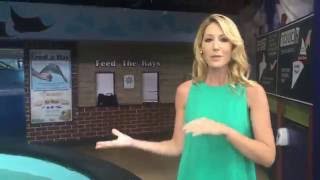 Guerin Austin Vlog Visiting The Rays Touch Tank In Tampa Bay [upl. by Mehala]