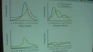 Ocean Productivity  Blooms vs Latitude [upl. by Bellanca]