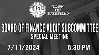 Board of Finance Audit Subcommittee Special Meeting  7112024 [upl. by Dnalel578]