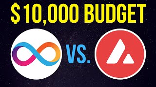 10000 Budget ICP vs AVAX  Internet Computer or Avalanche Who Wins [upl. by Annez]