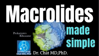 Macrolides  Mechanism of action 【USMLE Biochemistry】 [upl. by Atinid227]