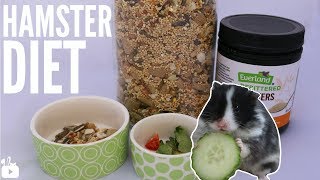 MY HAMSTERS DIET  what I feed my hamsters [upl. by Nared151]