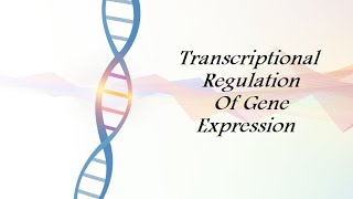 BIO Molecular  Transcriptional Regulation Of Gene Expression [upl. by Buzz758]