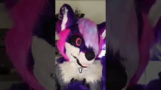 ¿Los Otakus son más raros que los Furros o estamos igual 😳 furry furros [upl. by Enilram]