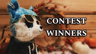 Beanie Boo custom contest WINNERS [upl. by Ynohta]