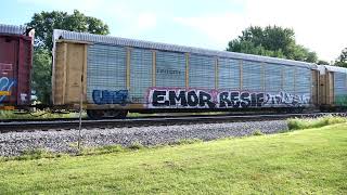 Galesburg Illinois 8102024 Peck Park part 1 [upl. by Eijneb]