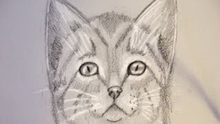 Come disegnare un gatto Corso di disegno per bambini how to draw cat [upl. by Oivalf17]