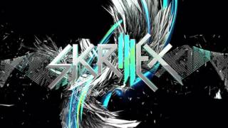 bangerang skrillex [upl. by Ahidam]