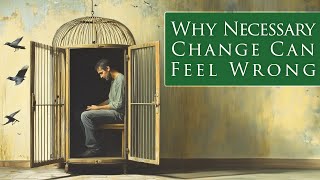 Why Necessary Change Can Feel Wrong [upl. by Kev641]