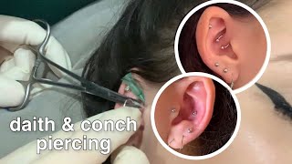 daith and conch piercing [upl. by Elleira838]