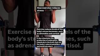 How exercise reduces stress stress exercise psychology shorts short fyp foryou neuroscience [upl. by Emmey]