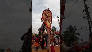 Chirakkal kalidhasan Kattakambal pooram Thrissur Kerala India shortsfeed travel shorts [upl. by Seiber]