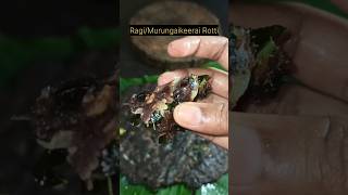 Ragimurungaikeerai Rotti breakfastideas food reelsvideo cooking easytocook simple [upl. by Assennav]