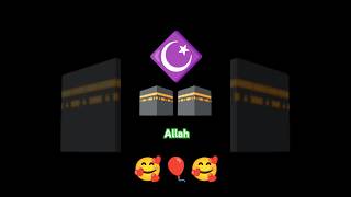 iloveallah allah 🌹💓❤️ [upl. by Buffum118]