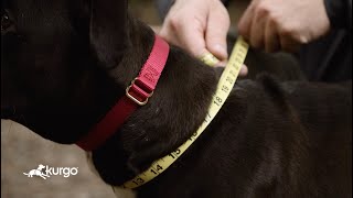 How to Measure Your Dog for Kurgo Coats amp Harnesses  Blains Farm amp Fleet [upl. by Mccandless]